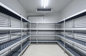 Pourquoi choisir une chambre froide sur mesure plutôt qu'un modèle standard ?